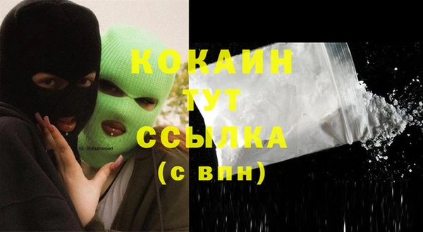 гашик Арсеньев