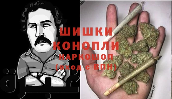 гашик Арсеньев