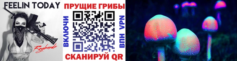 Псилоцибиновые грибы мицелий  сколько стоит  Богородицк 